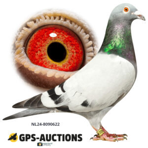 NL24-8090622