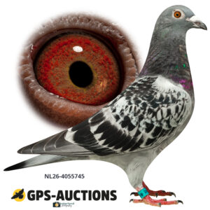 NL26-4055745