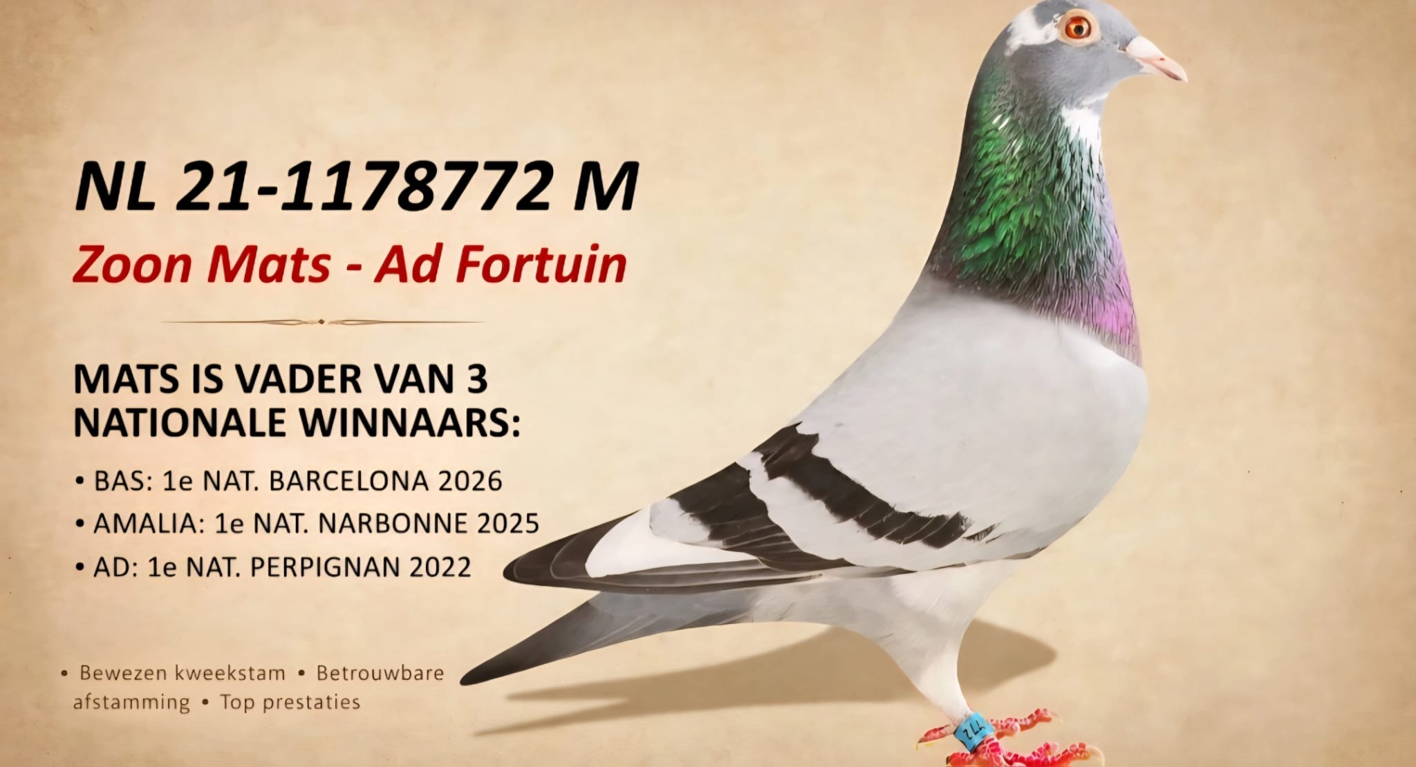 NL25-1447985