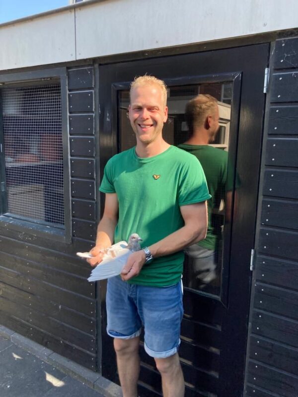 Totale Verkoop: (Justin) Bartelink Pigeons