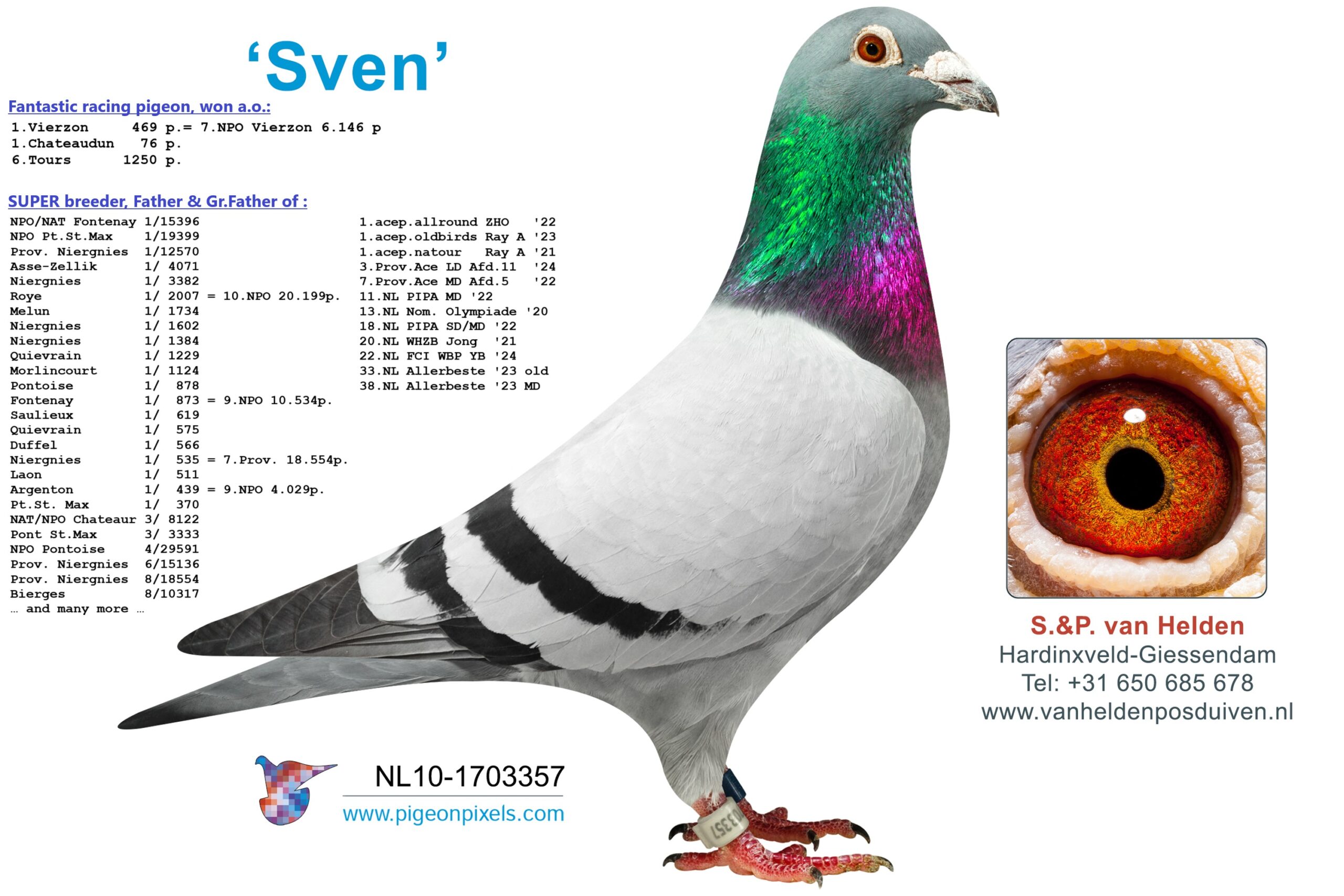 NL25-1299498