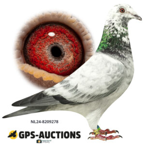 NL24-8209278