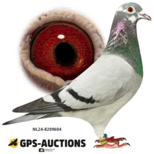 NL24-8209604