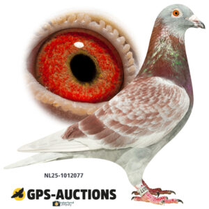 NL25-1012077