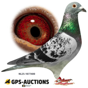 NL25-1077400