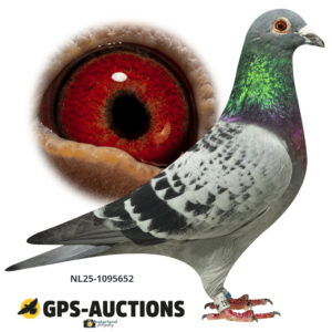NL25-1096652