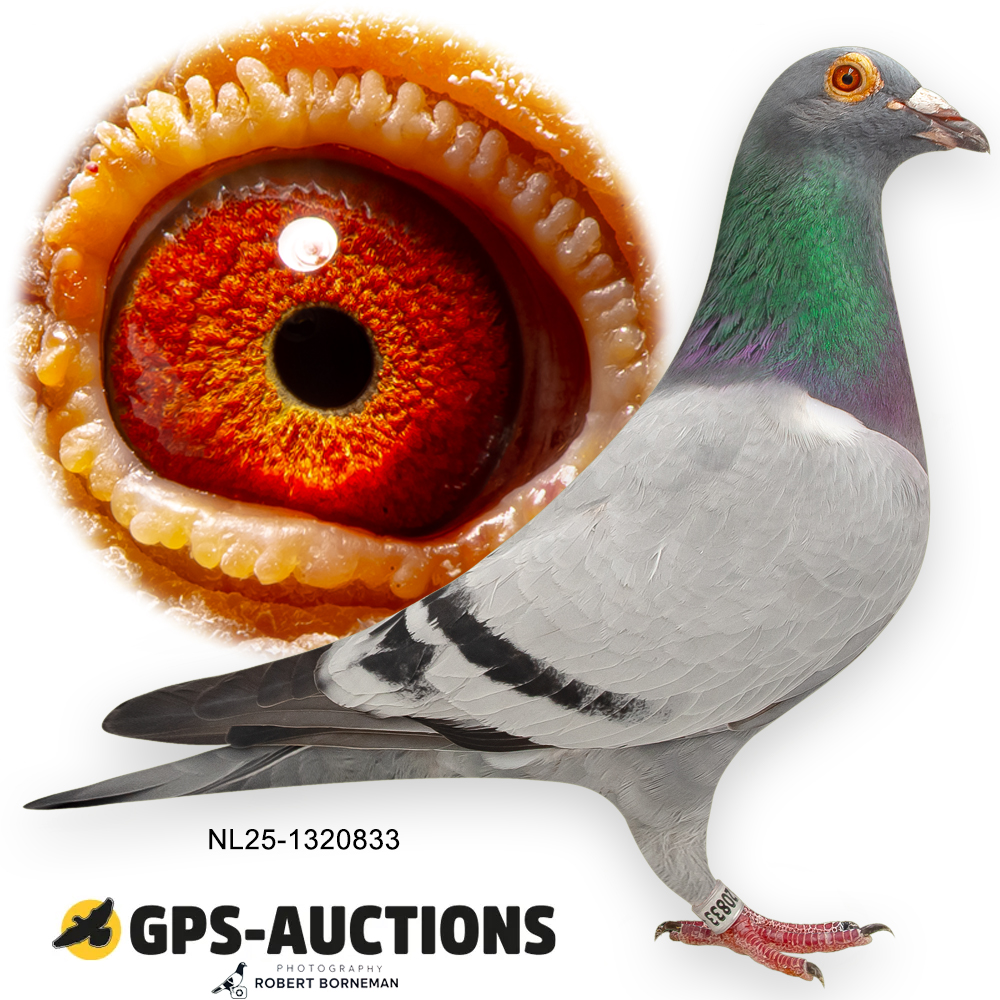 NL25-1320833