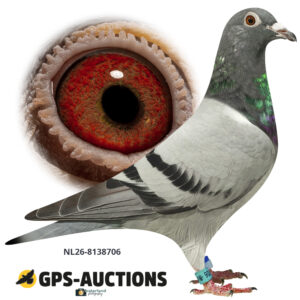 NL26-8138706