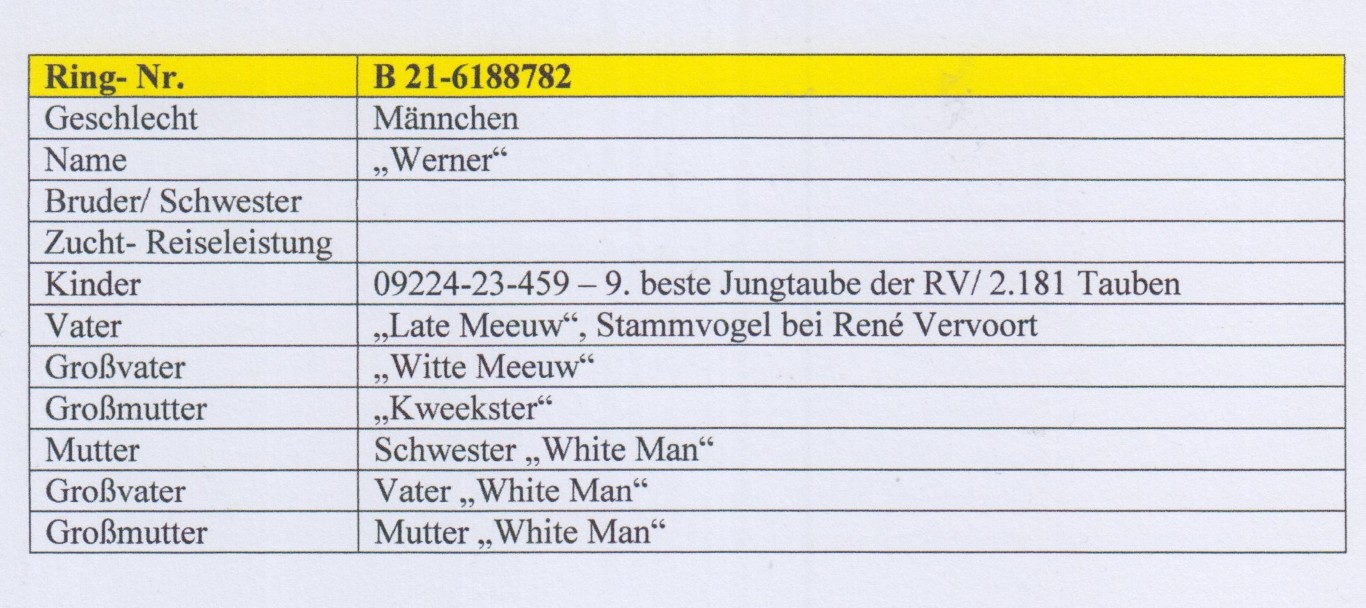 BE21-6188782