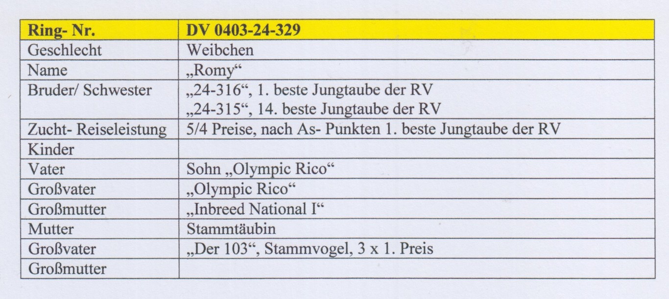 DV0403-24-329