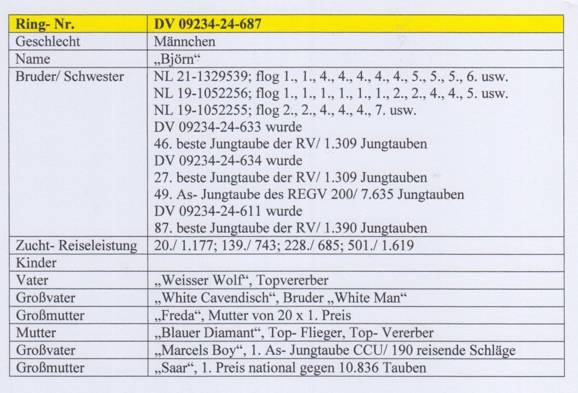 DV09234-24-687