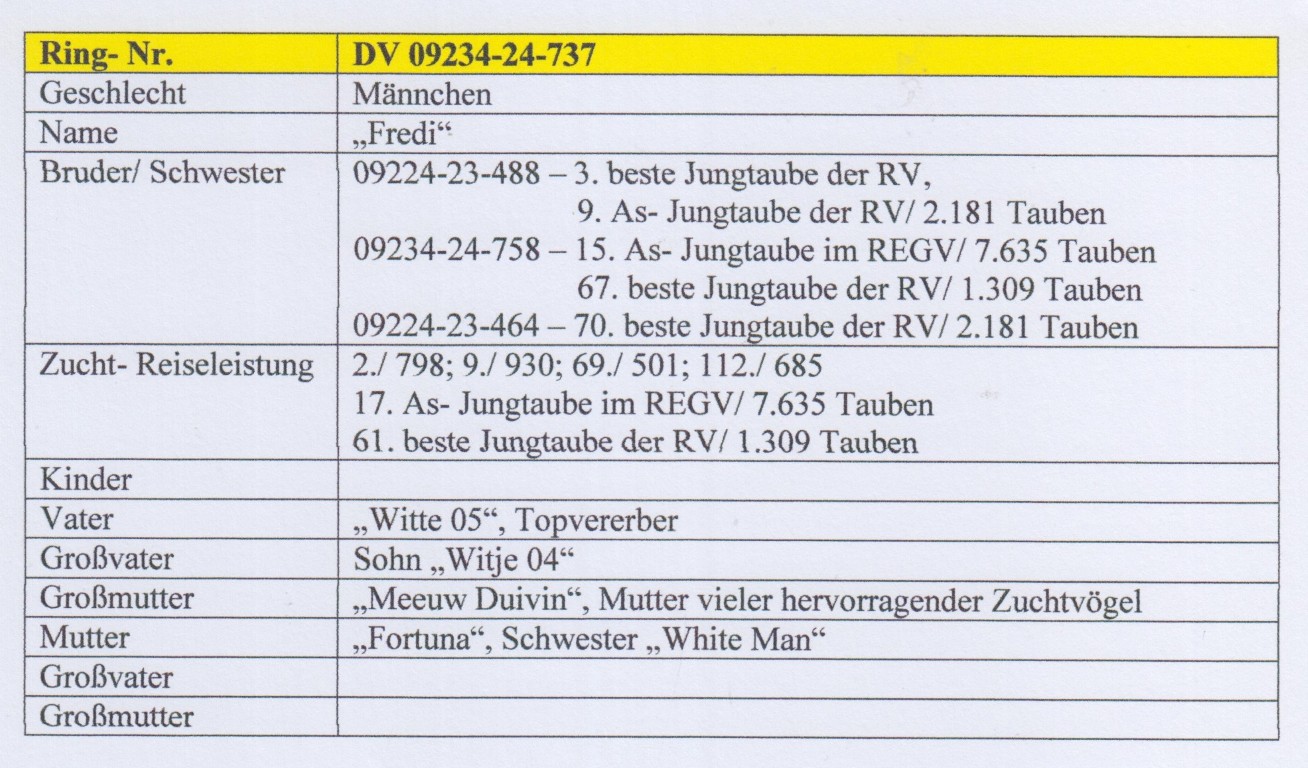 DV09234-24-737