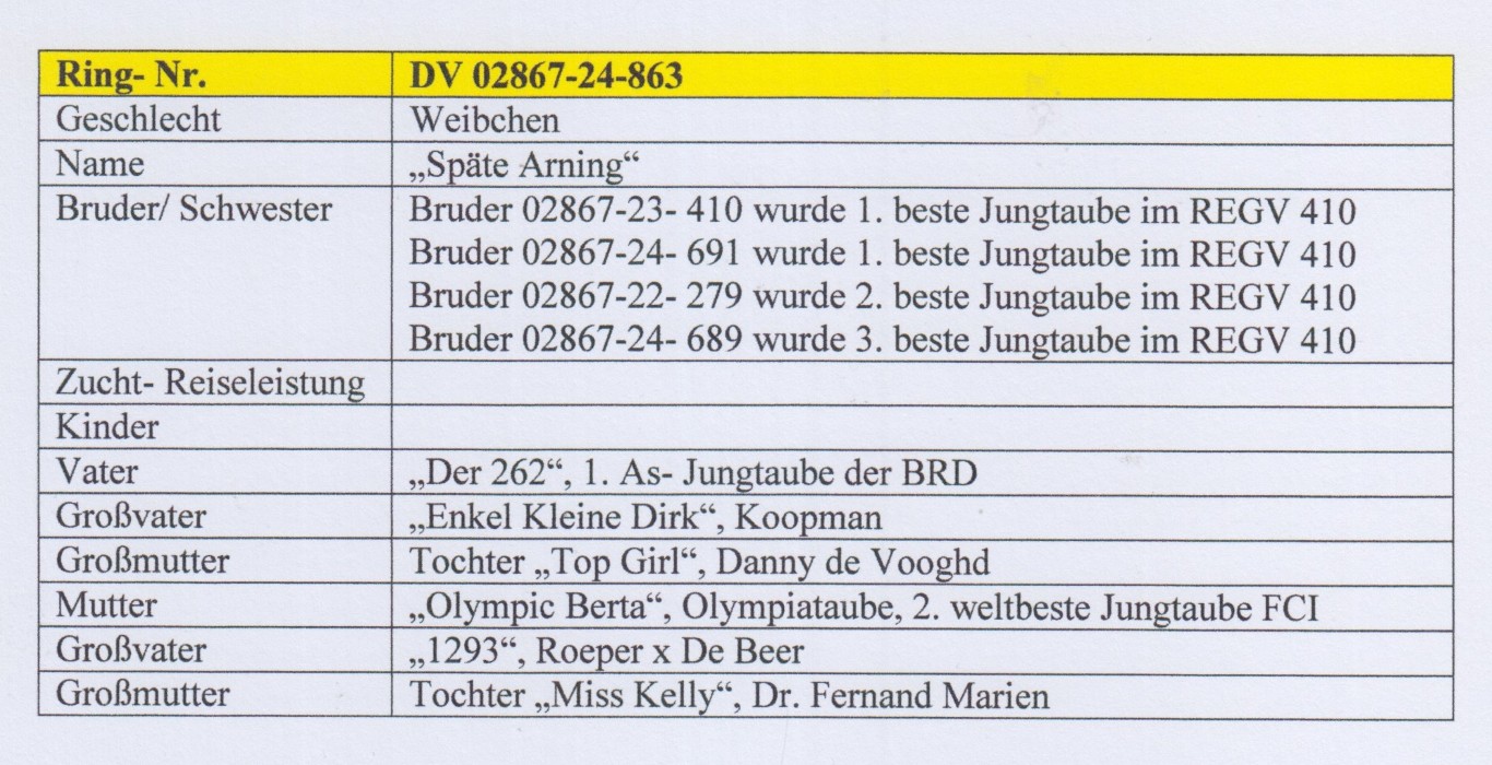 DV02867-24-863