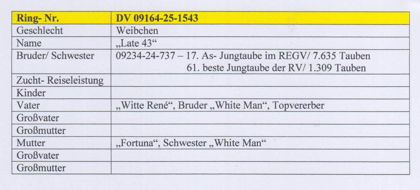 DV09164-25-1543