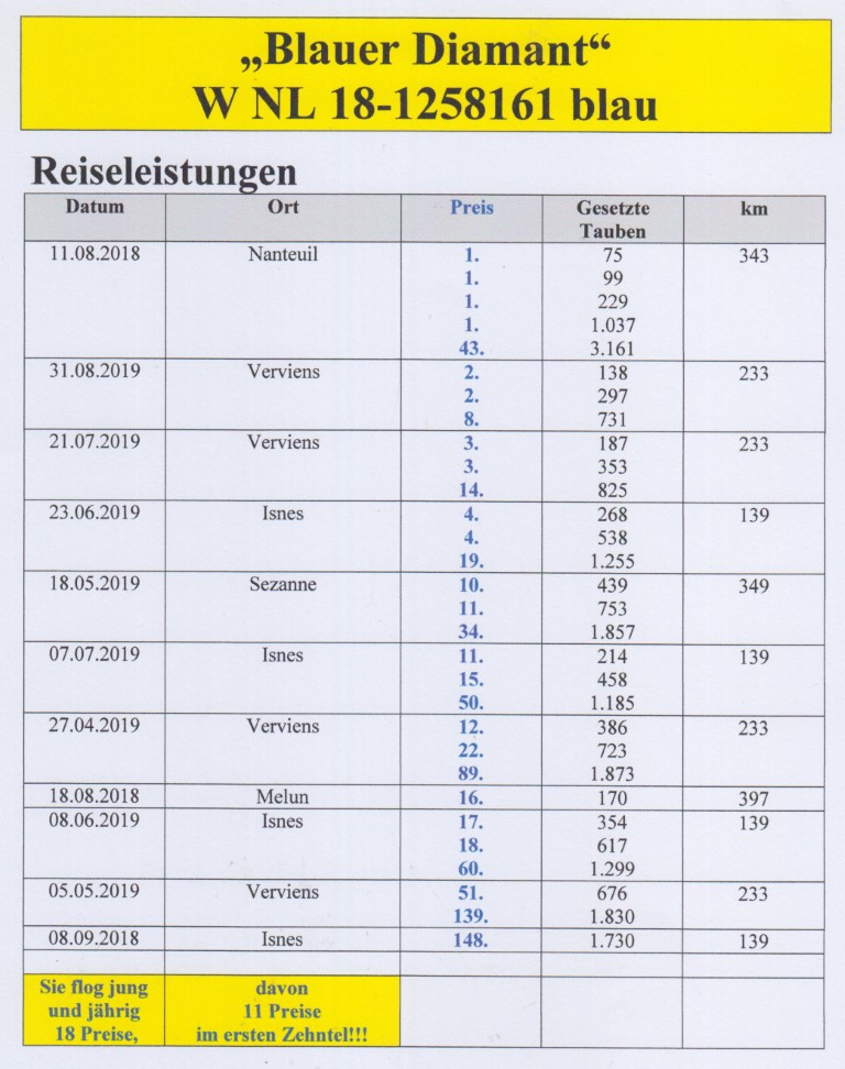 DV09234-24-633