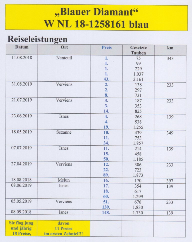 DV09234-24-687