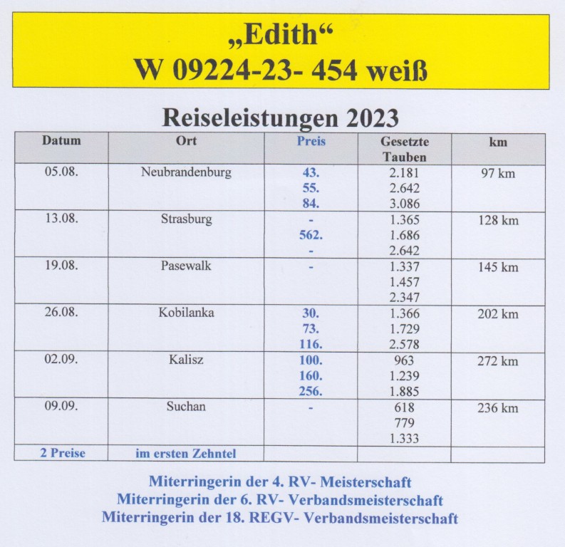 DV09224-23-454
