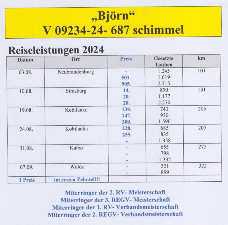 DV09234-24-687