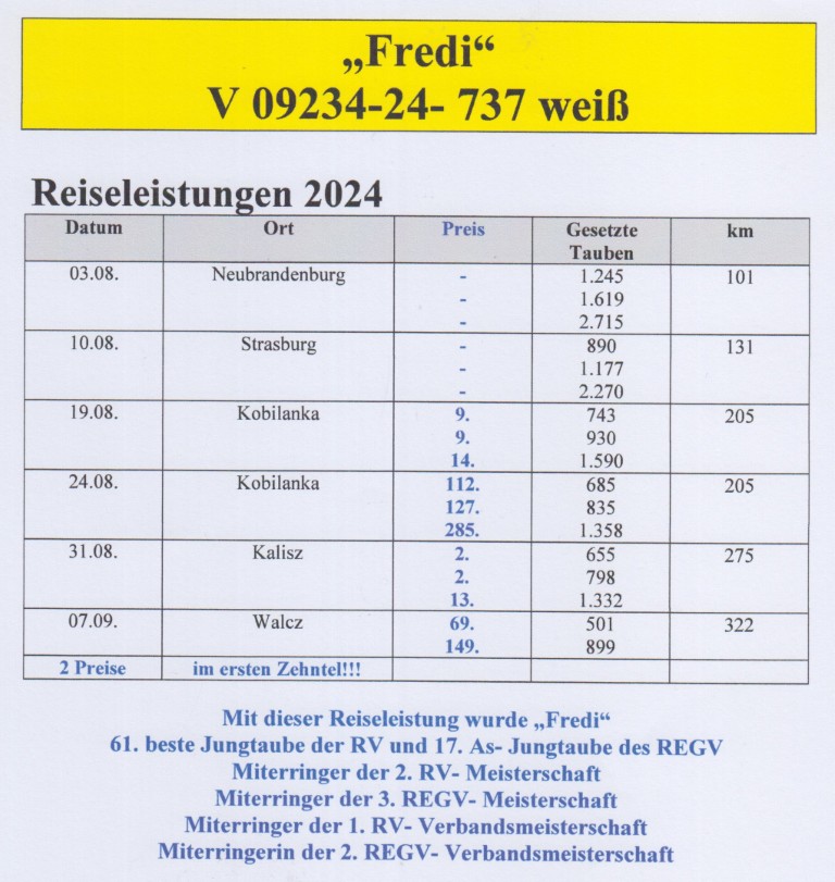 DV09234-24-737