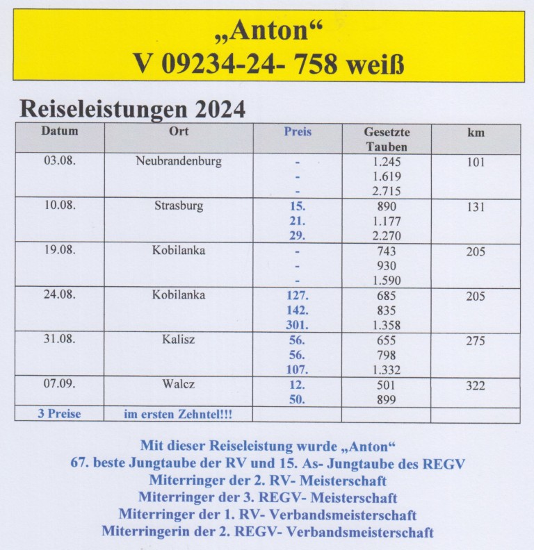 DV09234-24-758