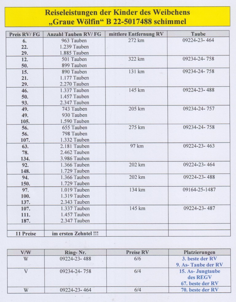 BE22-5017488