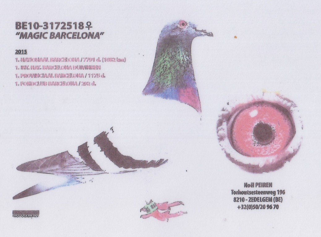 BE21-4226161