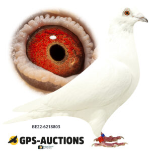 BE22-6218803