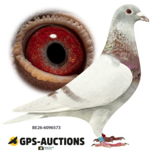 BE26-6096573