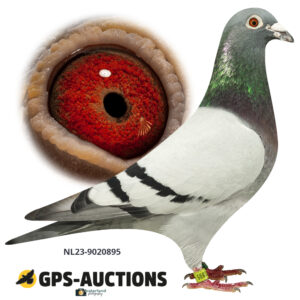 NL23-9020895