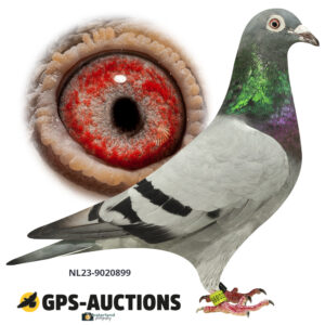 NL23-9020899