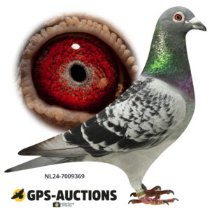 NL24-7009369