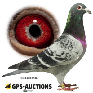 NL24-8100806