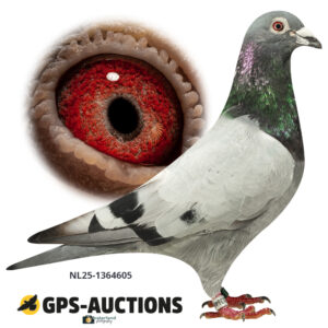 NL25-1364605