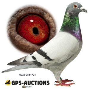 NL25-2511721