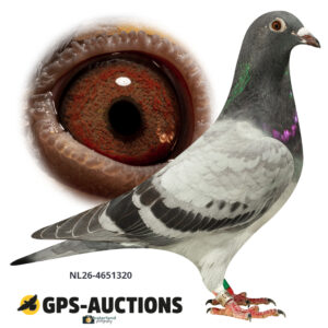 NL26-4651320