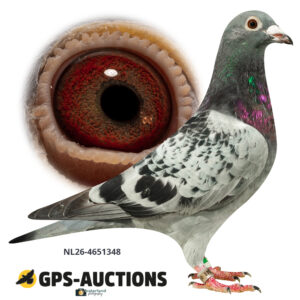 NL26-4651348
