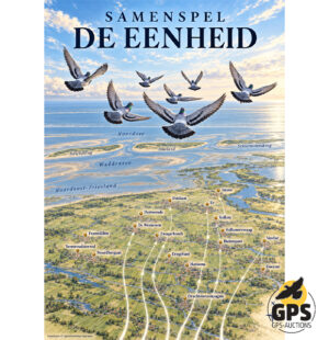 F.M. van der Meer Harkema